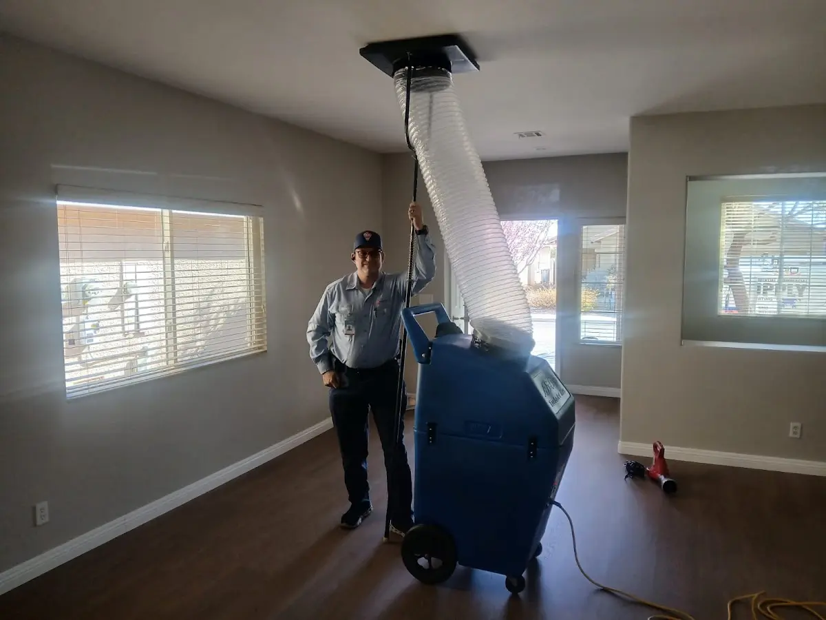Professional Dryer Vent Cleaning work inside a Eagan home